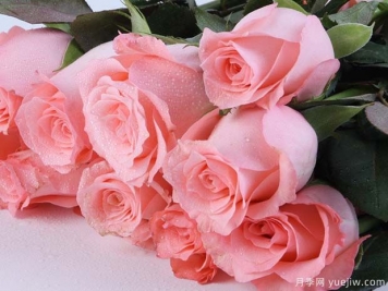 戴安娜玫瑰的花语是什么？有图片的更好？